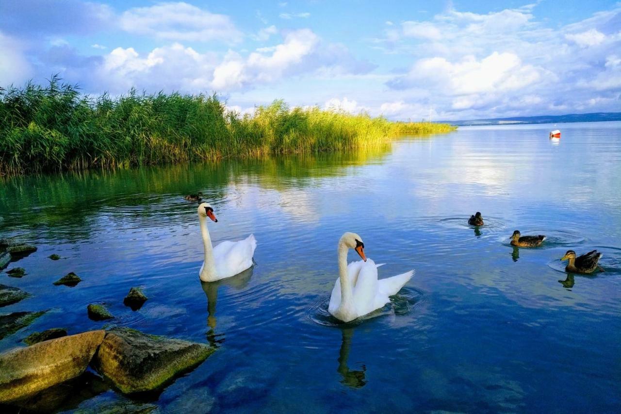 Foevenyes House Villa Balatonudvari Buitenkant foto